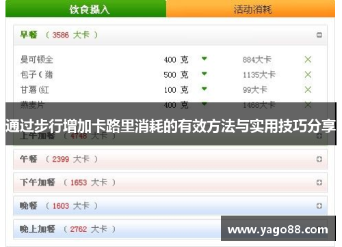通过步行增加卡路里消耗的有效方法与实用技巧分享