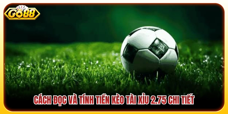 Hướng dẫn cách phân định thắng thua và tính tiền kèo 